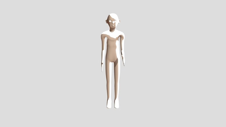 Body 3D Model
