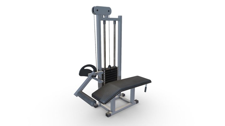 Hamstring 3D models - Sketchfab
