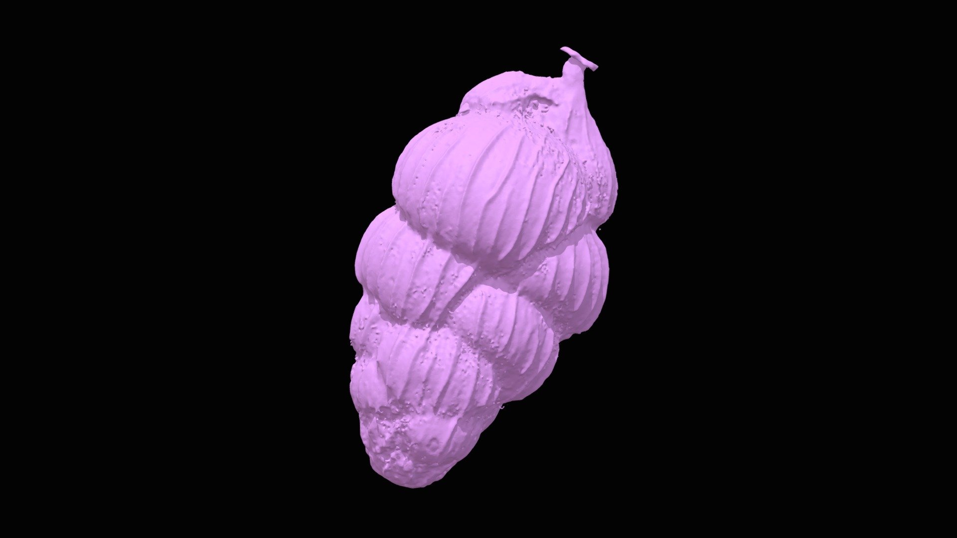 Uvigerina peregrina Side 1