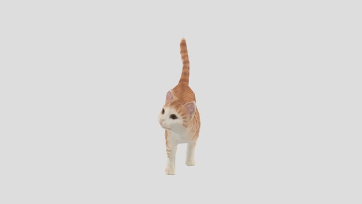 Lowpoly cat 2 3D Model