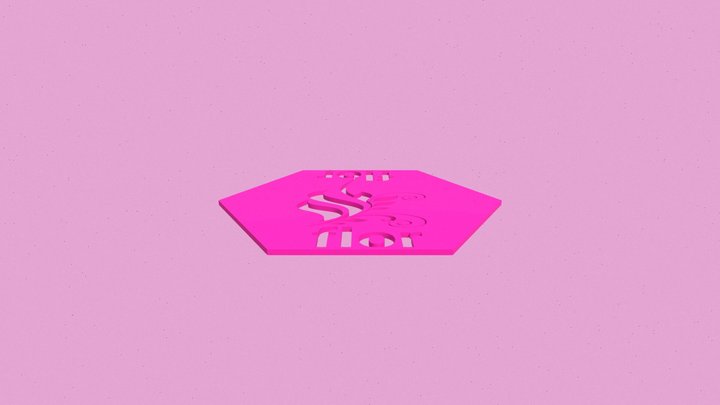 Ainoa_GilPazos_hexagono_stencil 3D Model