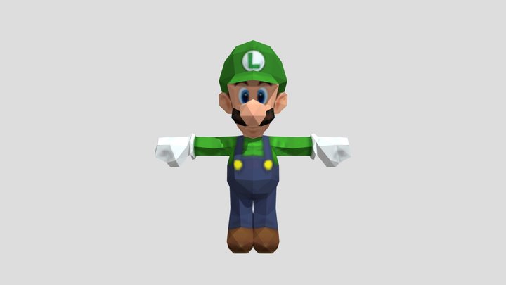 NSMB Luigi NDS Rig