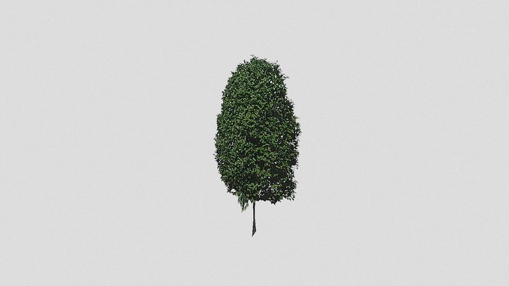 Drzewo 3D Model