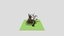 Loading 3D Model