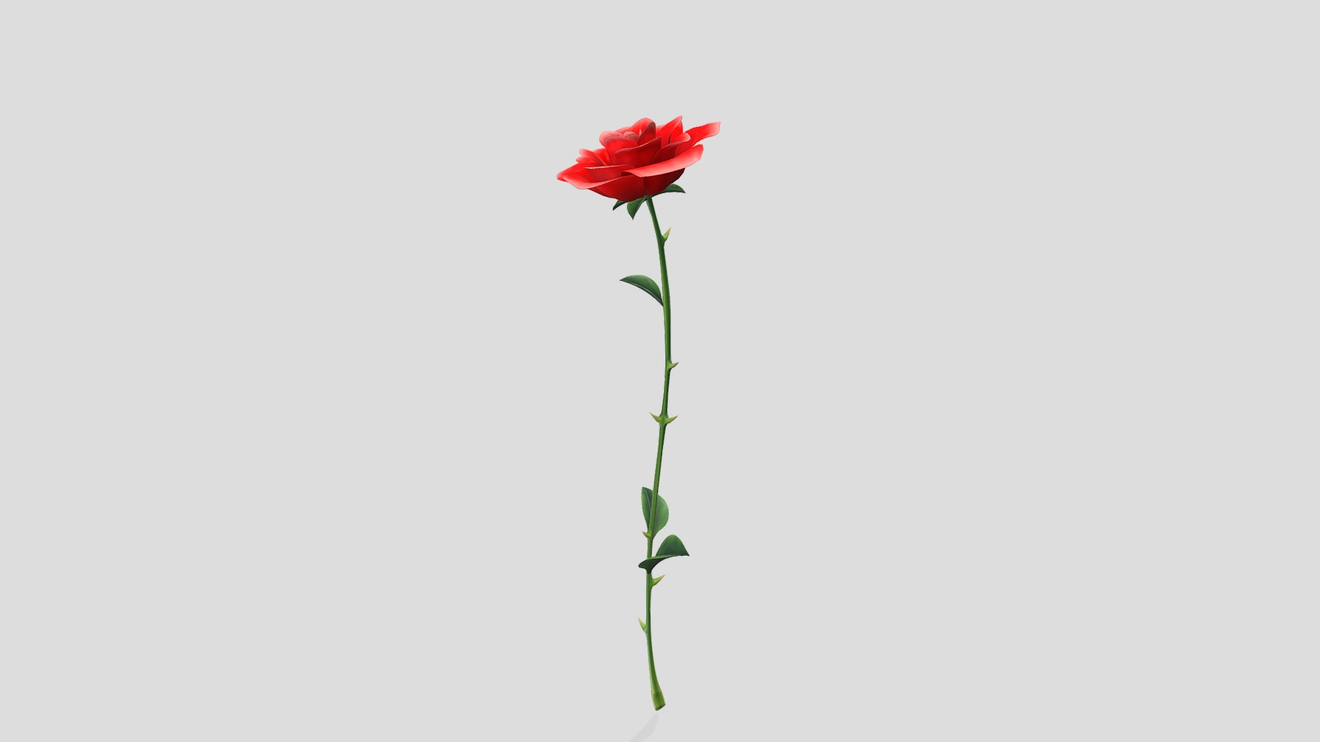 3D model Open Bud Single Red Rose - This is a 3D model of the Open Bud Single Red Rose. The 3D model is about a red rose with green leaves.