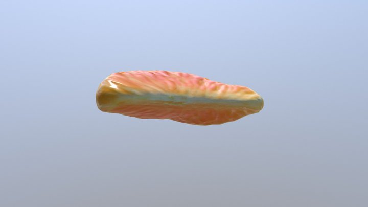 Tangerine free 3D Model