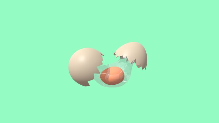 broken egg 3D Model