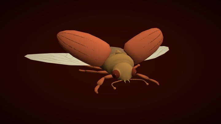 Brown Beetle 3D Model