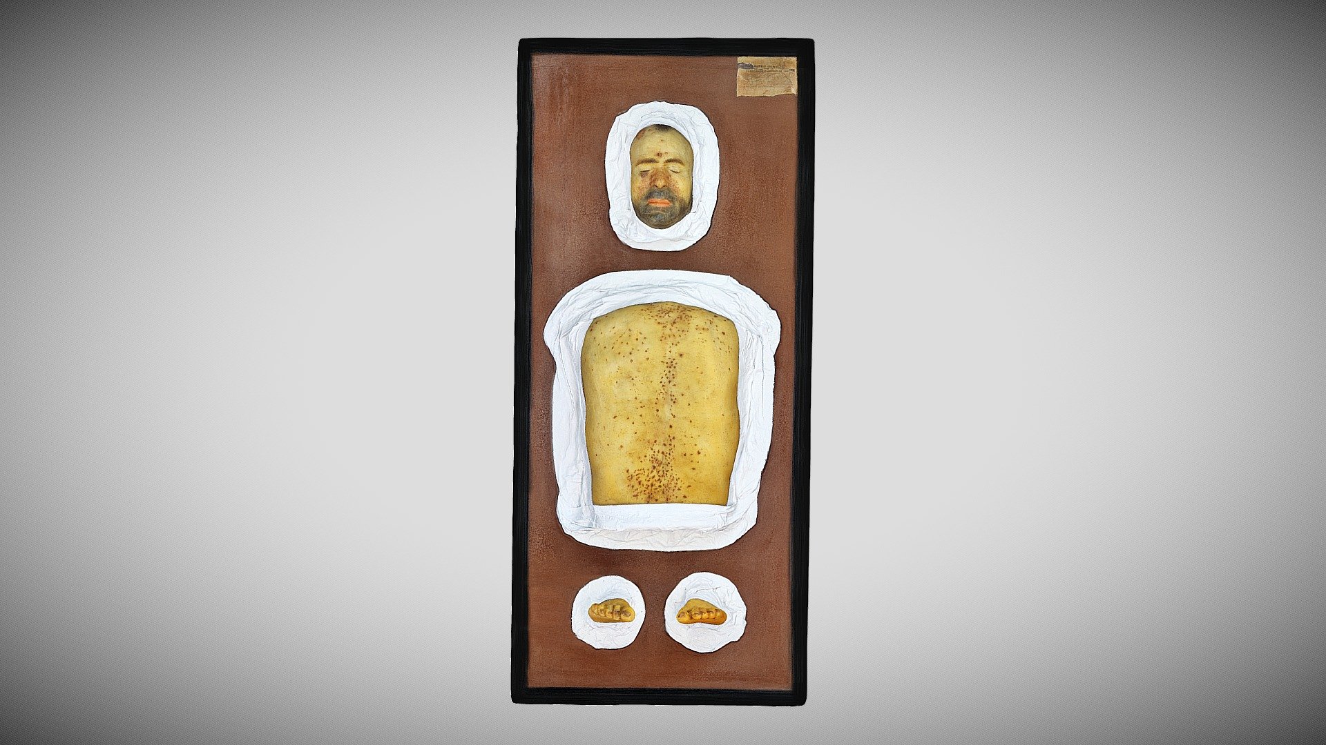 279 - 003 — Sketchfab embed 3D viewer