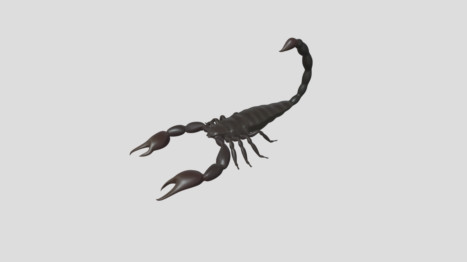 3D model Scorpion - This is a 3D model of the Scorpion. The 3D model is about shape.