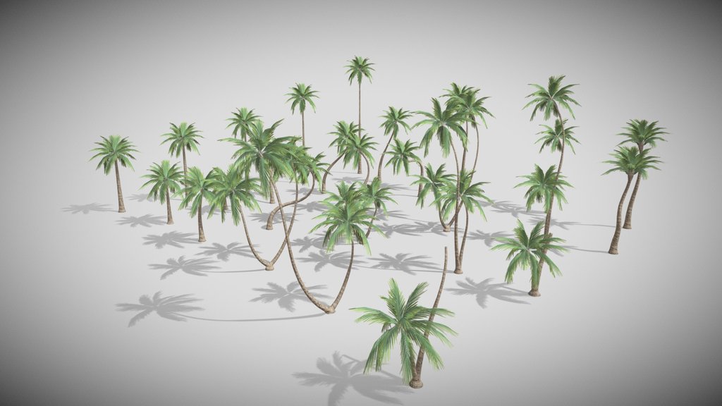 Realistic Palm Tree 2 Free