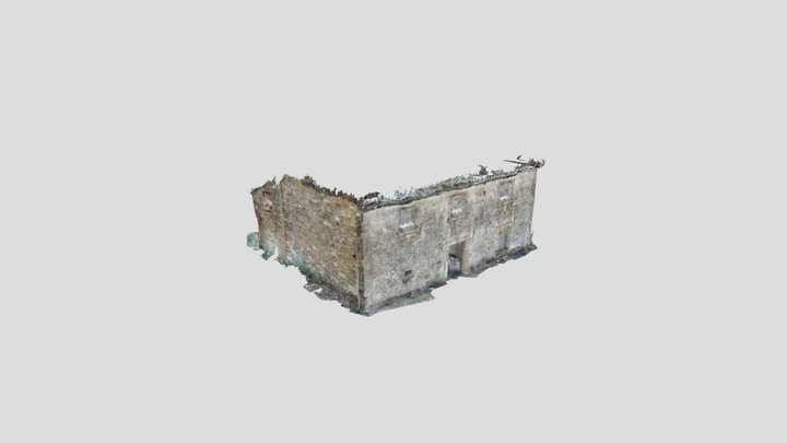Untitled Scan 3D Model