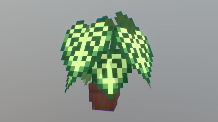 Anthurium clarinervium 3D Model