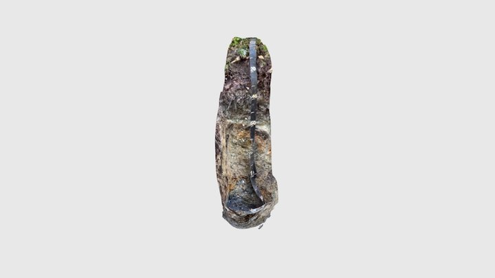 Midwetsoilpit 3D Model
