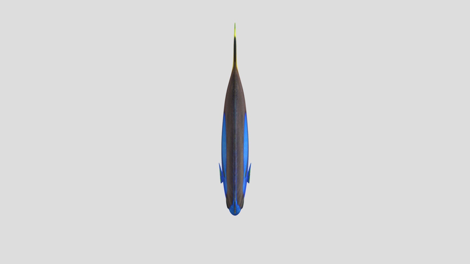 BlueTang