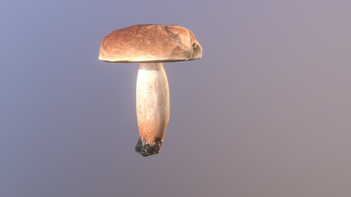 Hand painted Penny Bun mushroom 2 3D Model