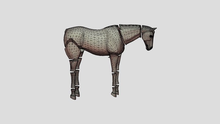 horse sections 3D Model