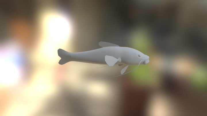Eel 3D Model