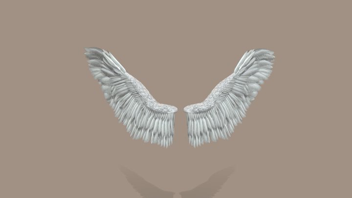 Angel Wings Rigged & Animated 3D Model