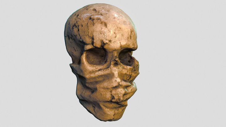 Skull 21 3D Model