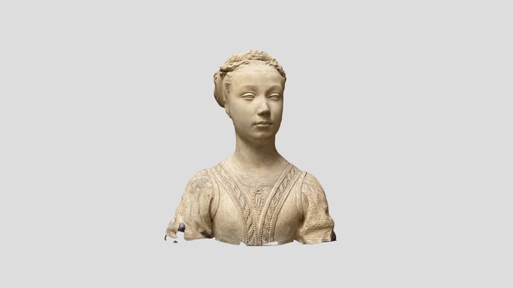 Bust of a young woman (model 1) 3D Model