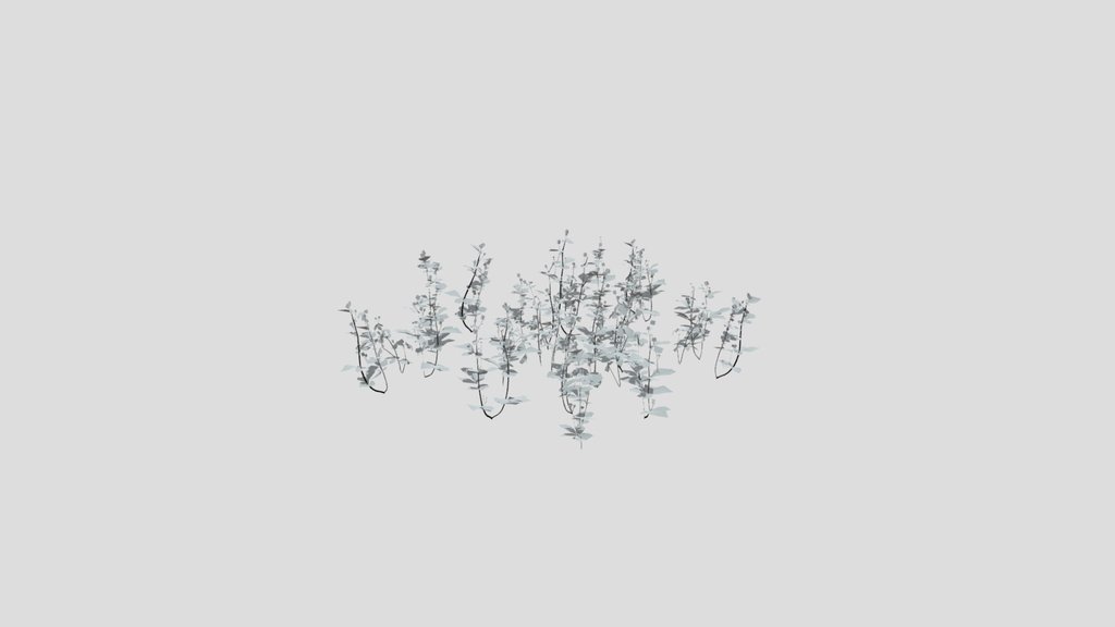 Geum Urbanum Weed Herbal Plant Med