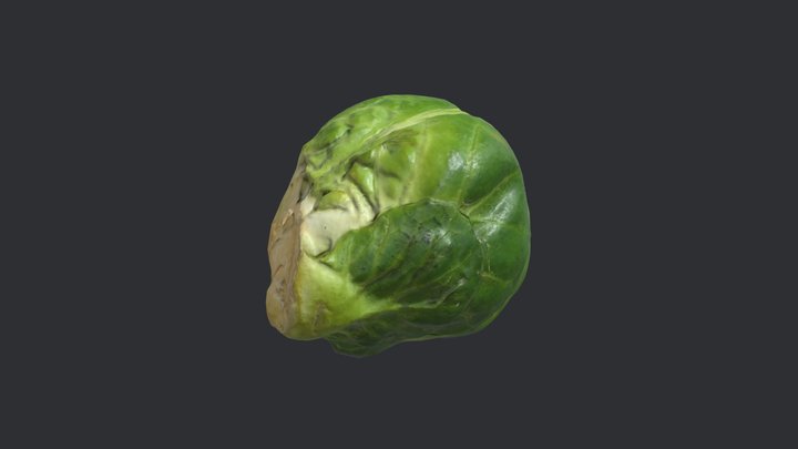 Brussels Sprout 1 3D Model