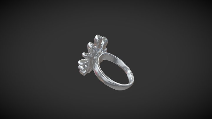 Anillo 2 3D Model
