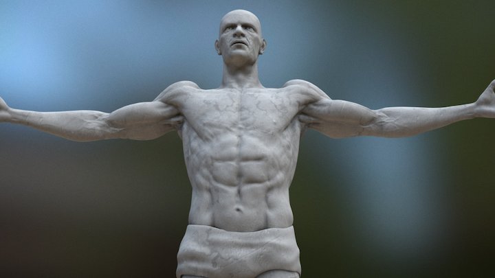 Male Anatomy Sculpture 3D Model