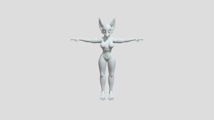 Detalle Cuerpo completo 3D Model