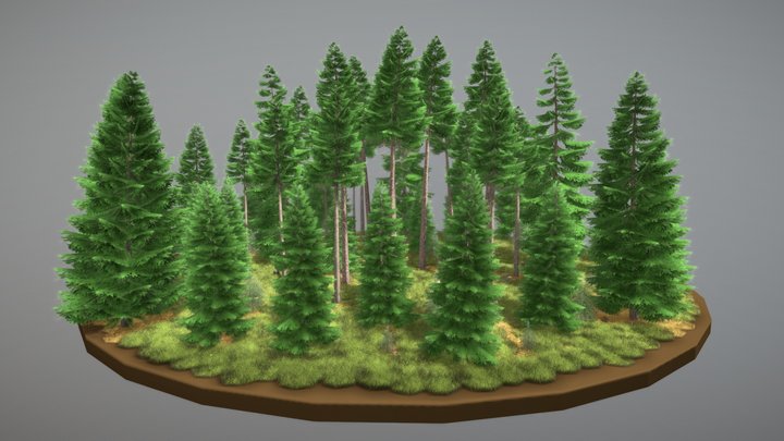 Spruce Forest / Fichtenwald 3D Model
