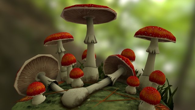 The Mushrooms 3D Model