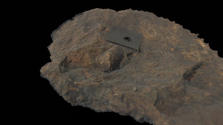和歌山県の化石　謎化石 3D Model