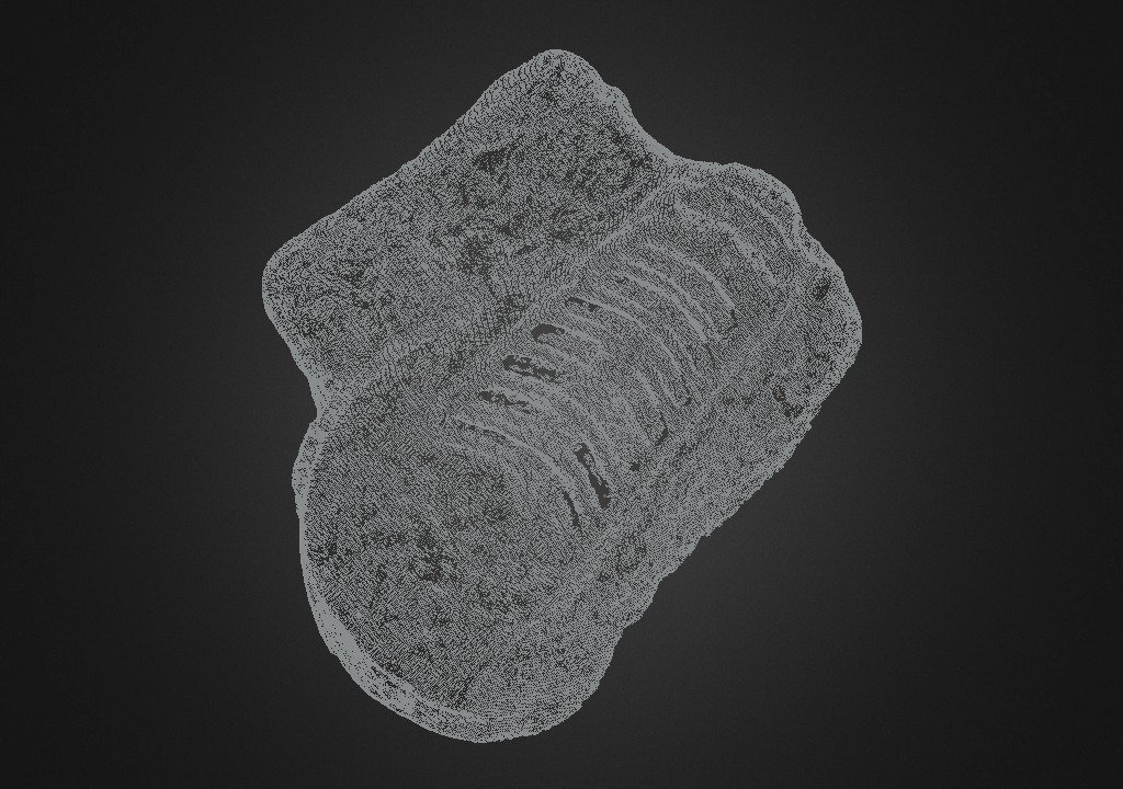Orthoceras 03: 01 Raw Data