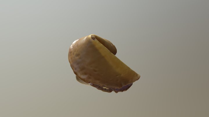 fortune cookie 3D Model