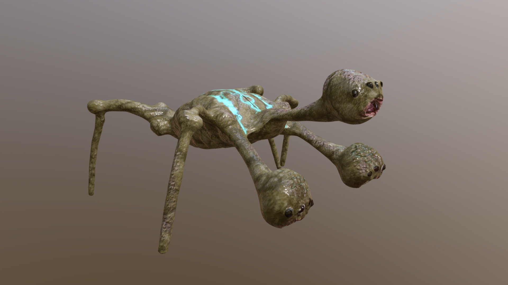 Spido