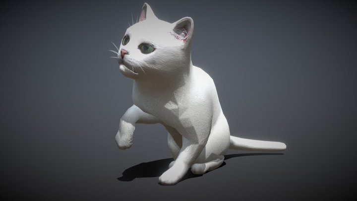 3DRT - White cat 3D Model