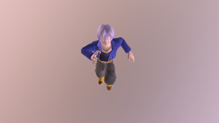 Trunks 3D Model
