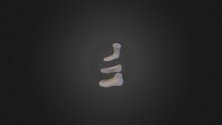 Orthopedic 3D Model