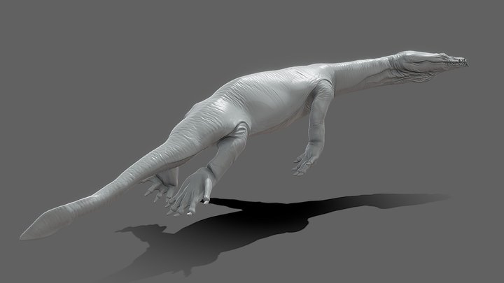 Nothosaurus másik 3D Model