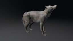 Howling Wolf 3D Model