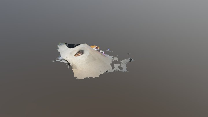 My photorealistic 3D asset 3D Model