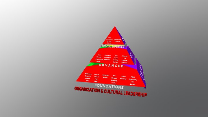 ONE PS F&A CAPABILITY PYRAMID 3D Model