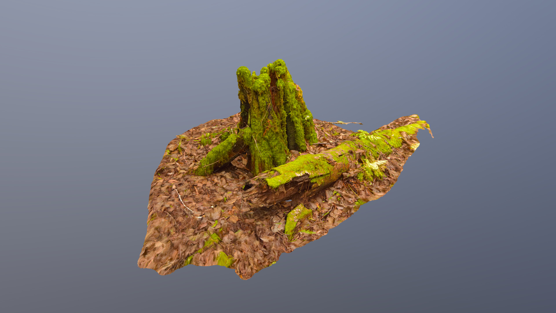 3D model Mossy Stump 5 - This is a 3D model of the Mossy Stump 5. The 3D model is about a green and brown rock.