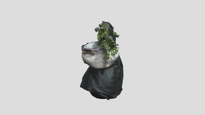 vase 3D Model