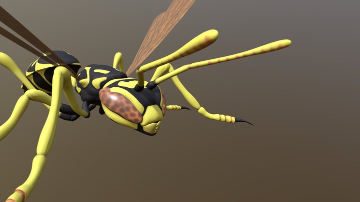 Wasp 3D Model