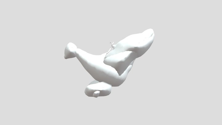 model_708104594444 3D Model