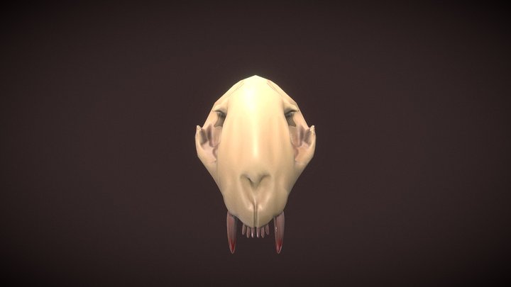 B2C2HubinShannaCharaBasicsArtTJ02SkullSketchfab 3D Model