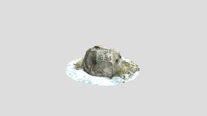 3D Rock Scan 3D Model