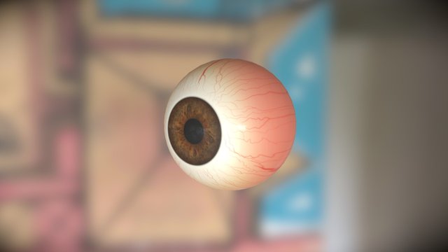Eye 3D Model